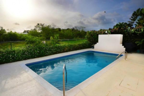 3 bedrooms luxurious pool house centrally located close to everything